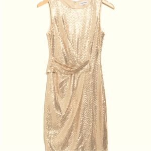 NWT Calvin Klein Dress